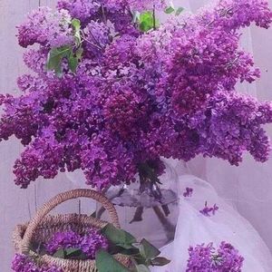 Meet your Posher, Jeanann